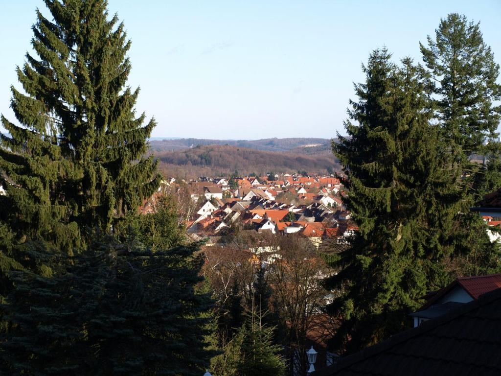 Hotel-Pension Ursula Bad Sachsa Exteriör bild